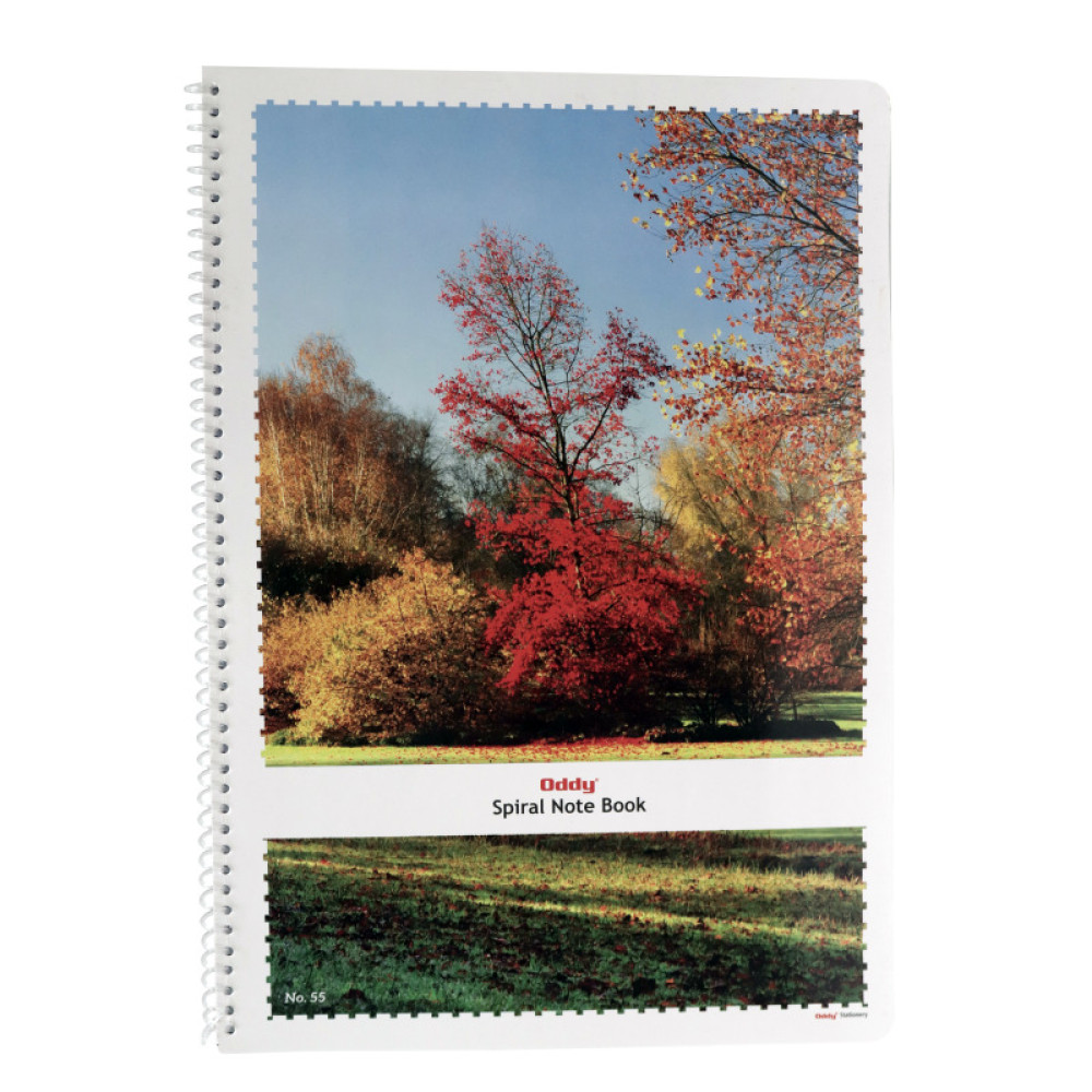 Image of Spiral Notebook A4 40 sheets Oddy SPA440