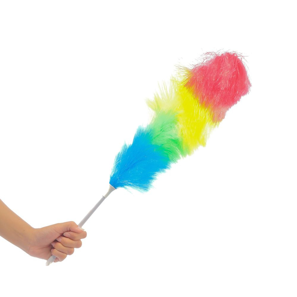Feather Brush