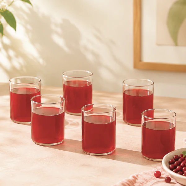Borosil Glass Set 6 Pcs 205ML