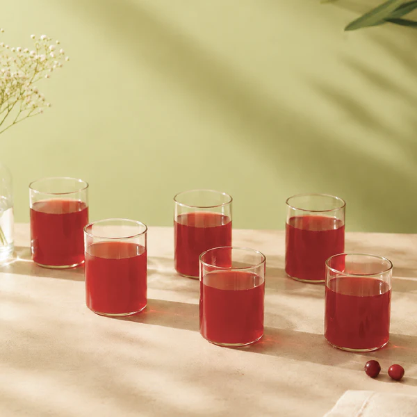 Borosil Glass Set 6 Pcs 205ML