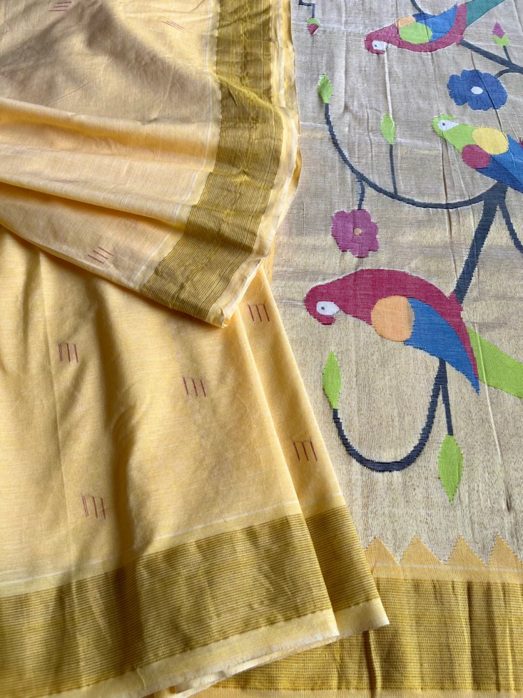 Image of Paithani cotton handloom saree