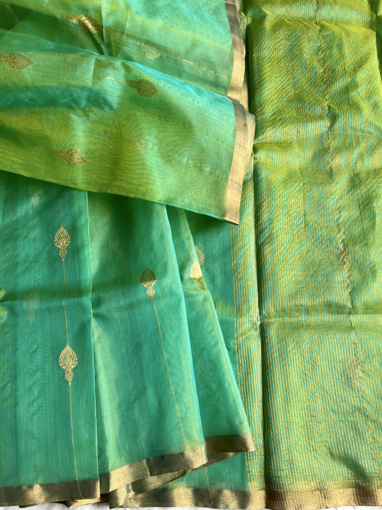 Image of Chanderi organza handloom saree