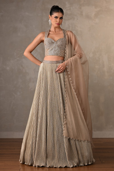 Embroidered Shimmer Lehenga Set