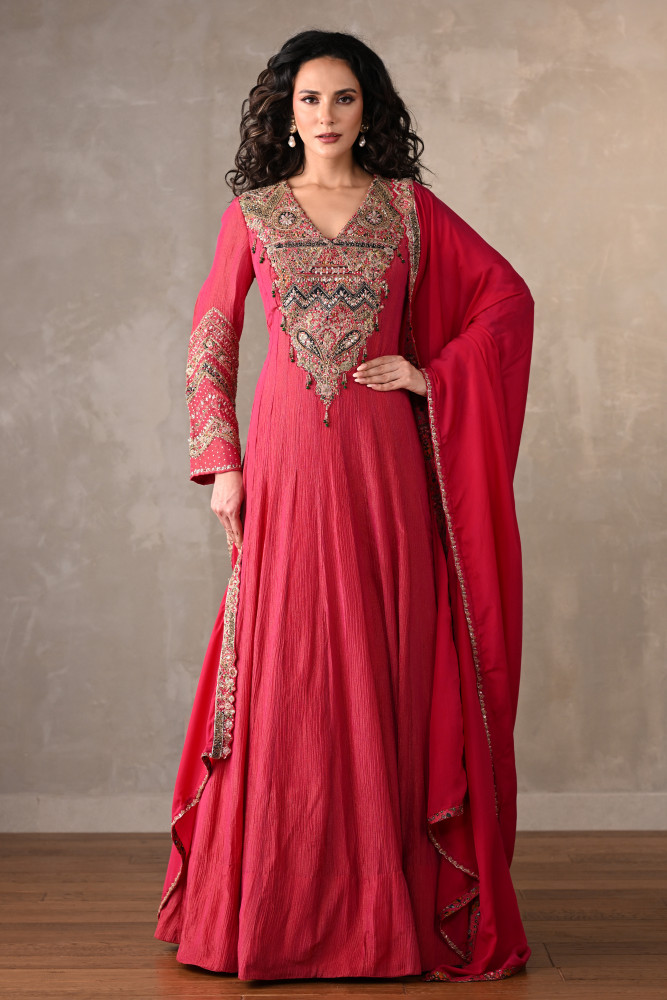 Rani Luxe Embroidered Organza Anarkali