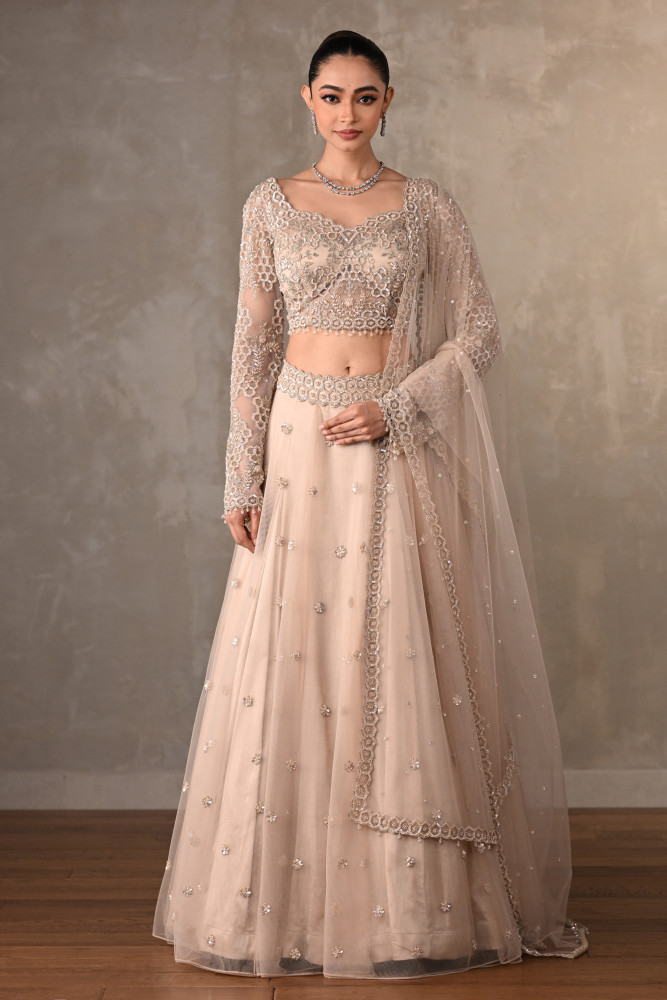 Soft Radiance Net Lehenga Set