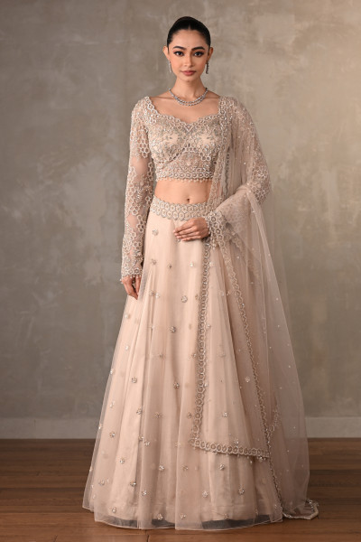 Soft Radiance Net Lehenga Set