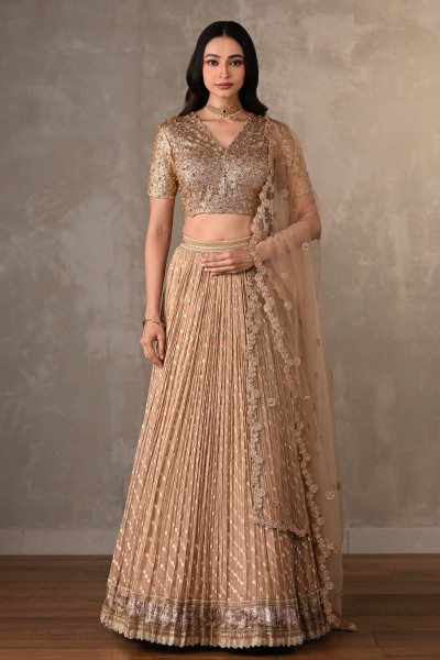 Champagne Gold Embroidered Organza Shimmer Lehenga