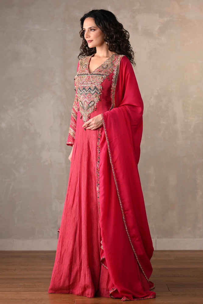 Rani Luxe Embroidered Organza Anarkali