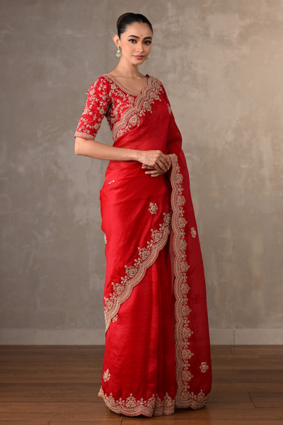 Radiant Ruby Organza Saree Set