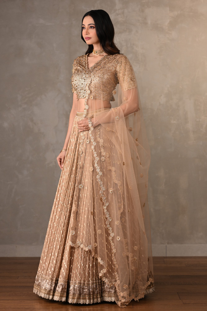 Champagne Gold Embroidered Organza Shimmer Lehenga