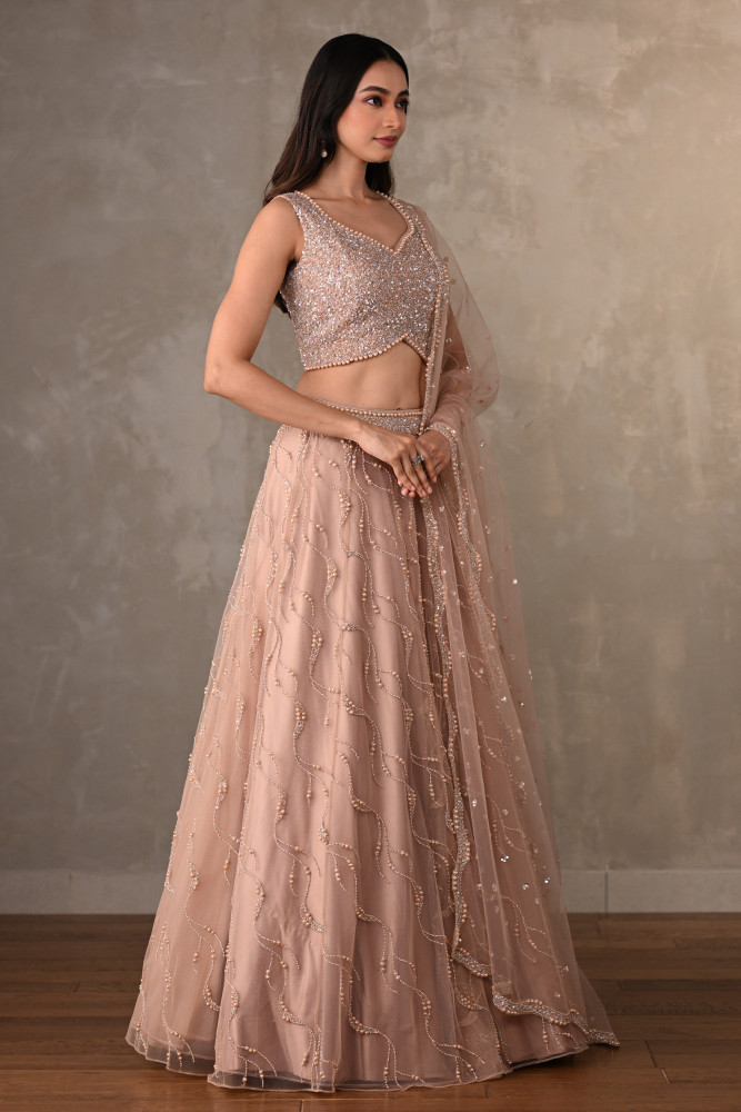 Blush Gleam Net Embellished Lehenga Set