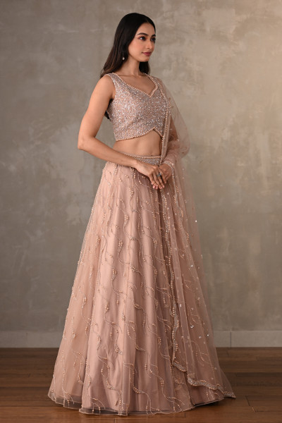 Blush Gleam Net Embellished Lehenga Set
