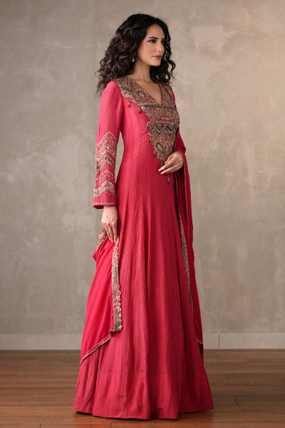Rani Luxe Embroidered Organza Anarkali
