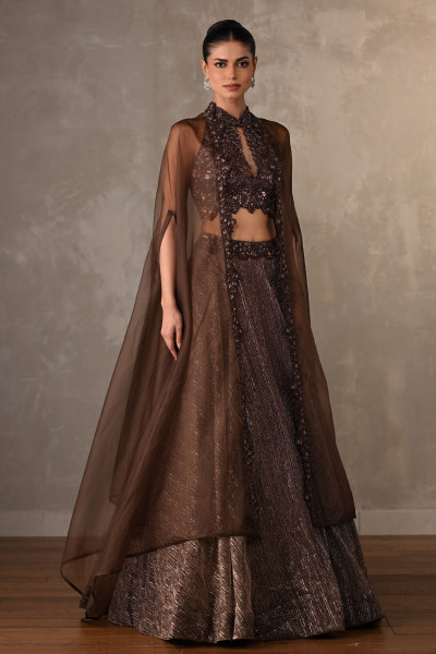Mocha Sheer Embellished Lehenga Set