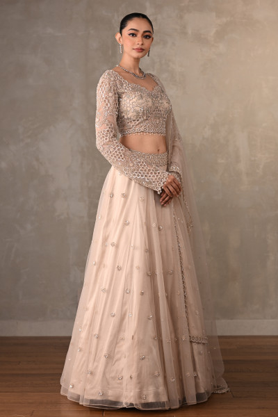 Soft Radiance Net Lehenga Set