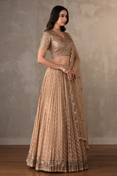 Champagne Gold Embroidered Organza Shimmer Lehenga