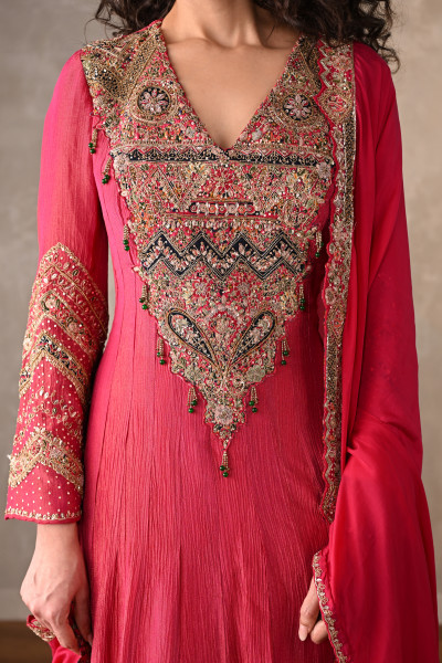 Rani Luxe Embroidered Organza Anarkali