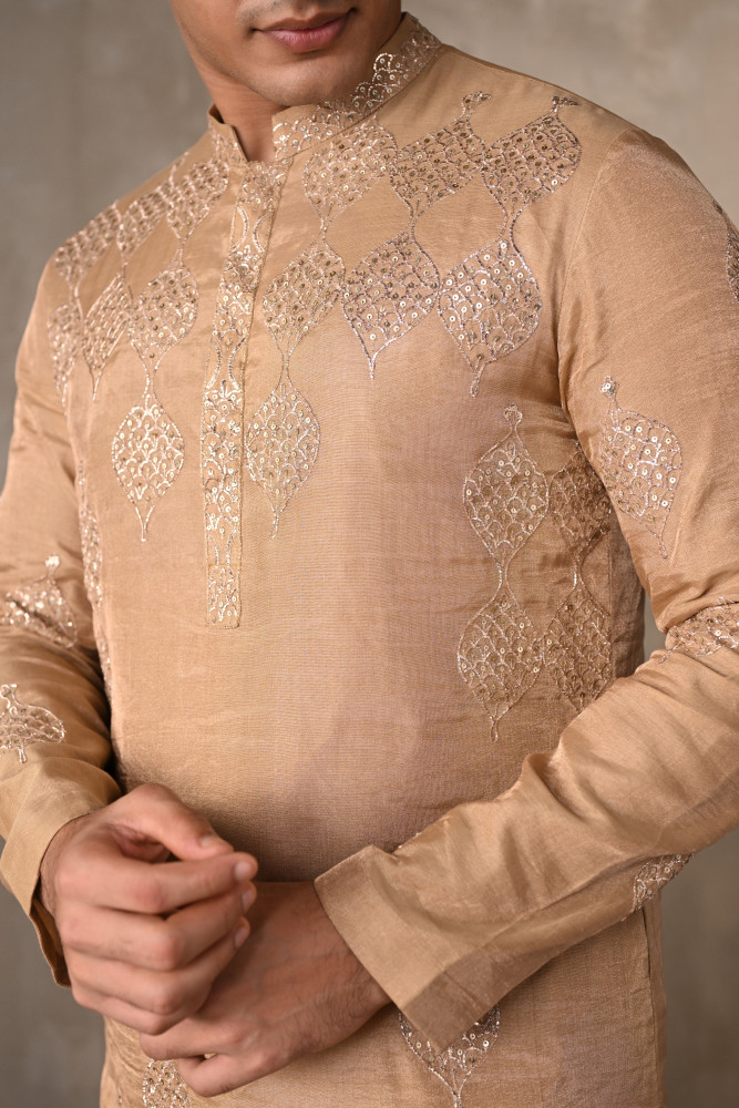 Beige Tissue Embroidered Kurta