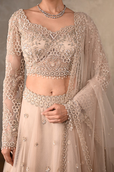 Soft Radiance Net Lehenga Set