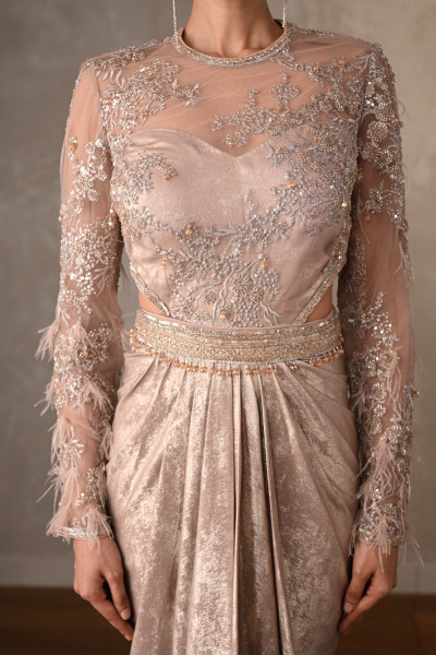 Moonlit Aurelia Embellished Gown