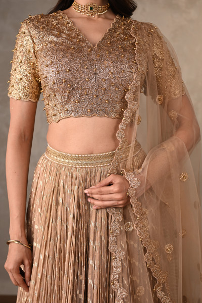 Champagne Gold Embroidered Organza Shimmer Lehenga