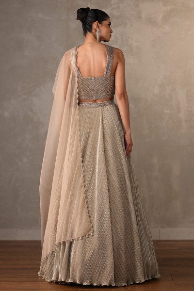 Embroidered Shimmer Lehenga Set
