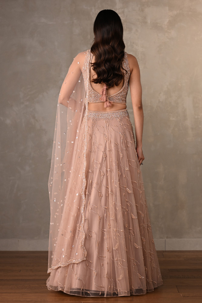 Blush Gleam Net Embellished Lehenga Set