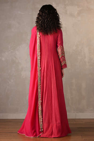 Rani Luxe Embroidered Organza Anarkali
