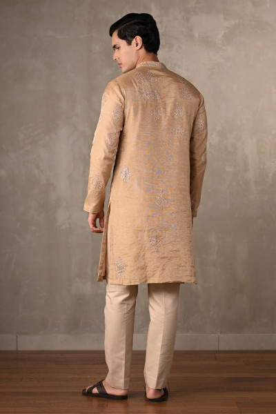 Beige Tissue Embroidered Kurta