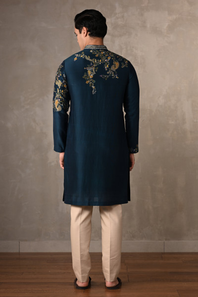 Blue Chanderi Embroidered Kurta