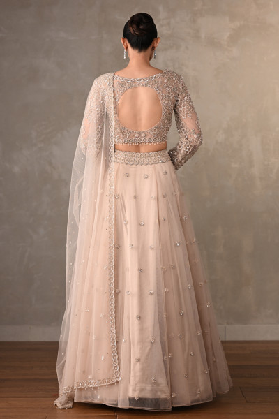 Soft Radiance Net Lehenga Set