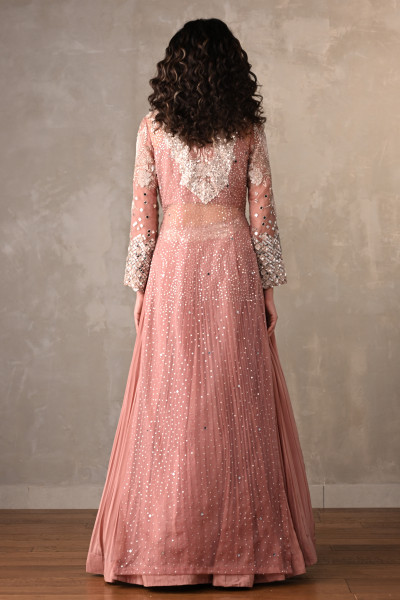 Rosewood Radiance Embellished Skirt Set With Cape