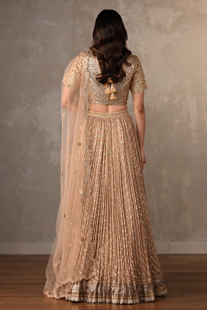 Champagne Gold Embroidered Organza Shimmer Lehenga