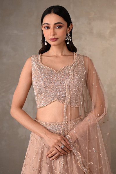 Blush Gleam Net Embellished Lehenga Set