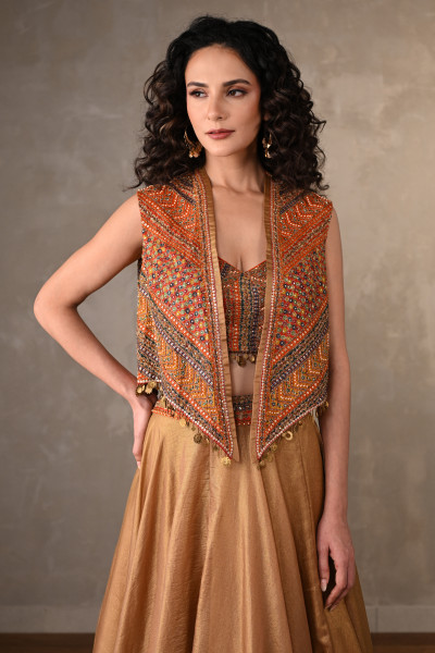 Opulent Threads Tissue Lehenga Set