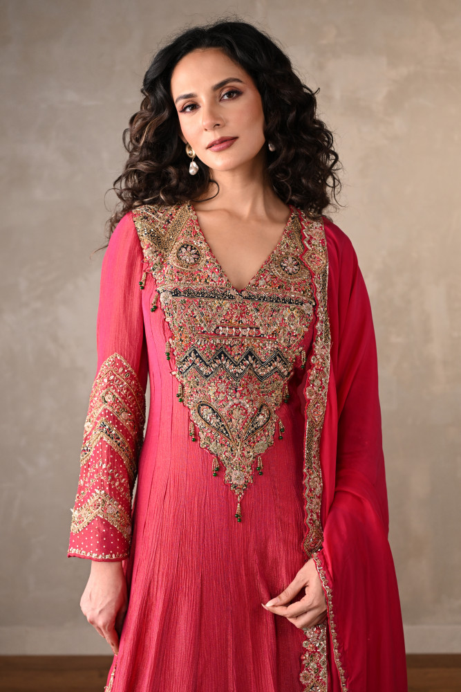 Rani Luxe Embroidered Organza Anarkali