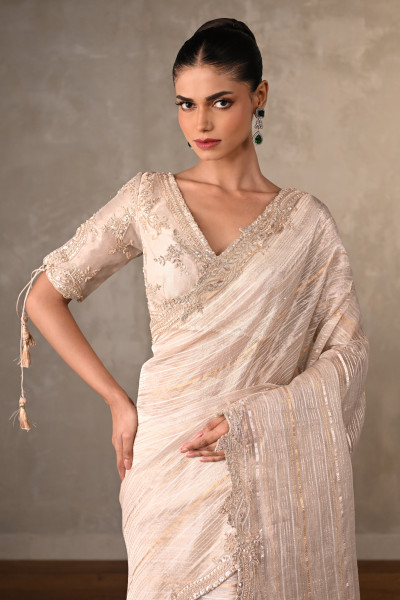 Aurora Luxe Tissue Embroidered Saree