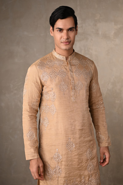 Beige Tissue Embroidered Kurta