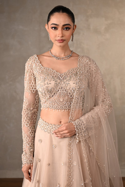 Soft Radiance Net Lehenga Set