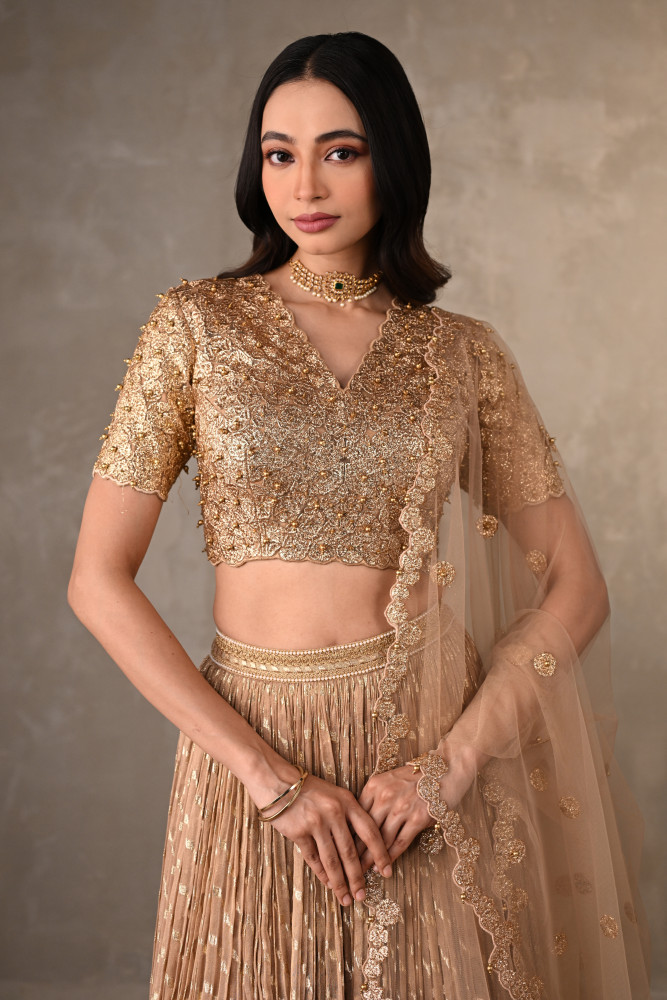 Champagne Gold Embroidered Organza Shimmer Lehenga