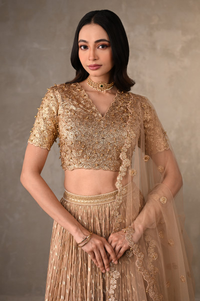 Champagne Gold Embroidered Organza Shimmer Lehenga