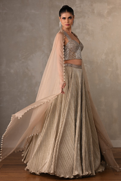 Embroidered Shimmer Lehenga Set