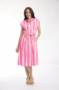 Stripe Dress Collar Tie Waist
