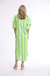 Stripe Dress Long Buttonthrough