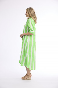 Stripe Dress Long Buttonthrough