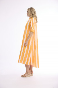 Stripe Dress Long Buttonthrough