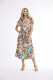 Camellias Dress V Neck Buttonthrough Short