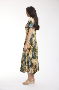 Allard Dress Godet