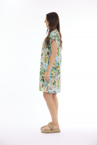 Samara Dress Shift