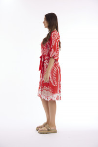 Josey Dress Frill Puff Sleeve